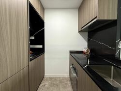 Irwell Hill Residences (D9), Apartment #546373251